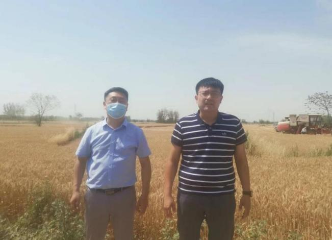 图片12.png 图片12.png