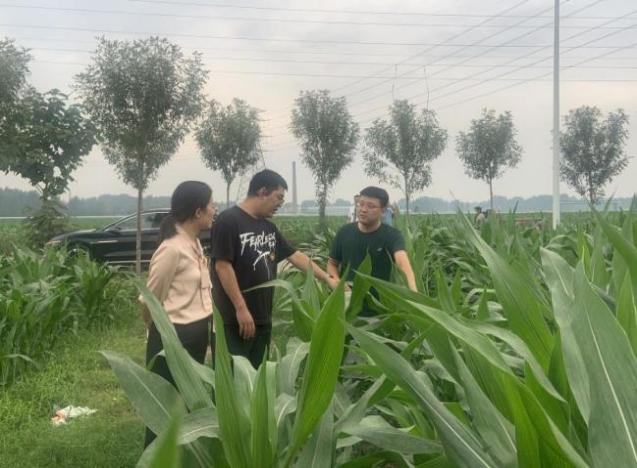 图片13.png 图片13.png