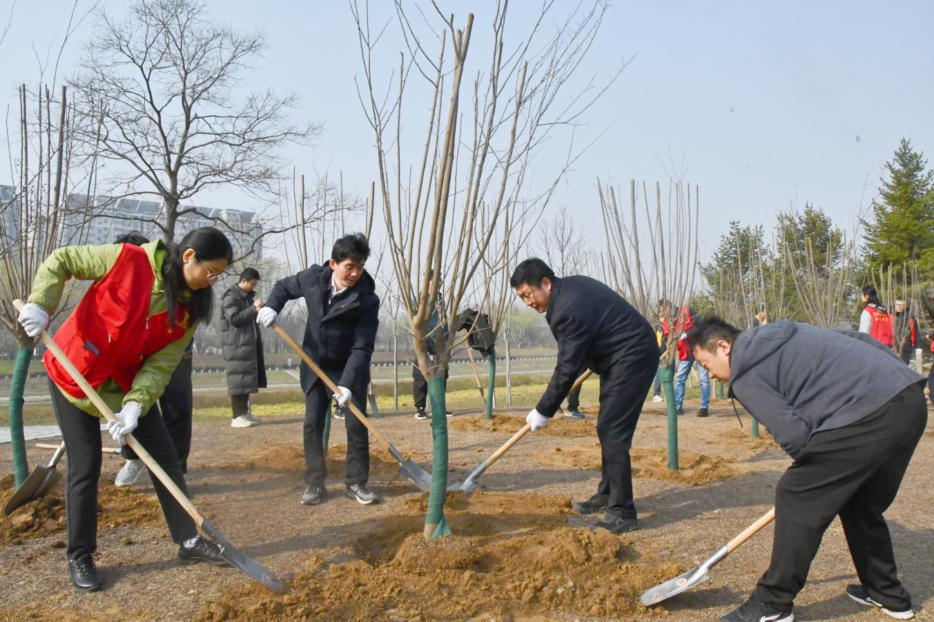 图片3.png 图片3.png